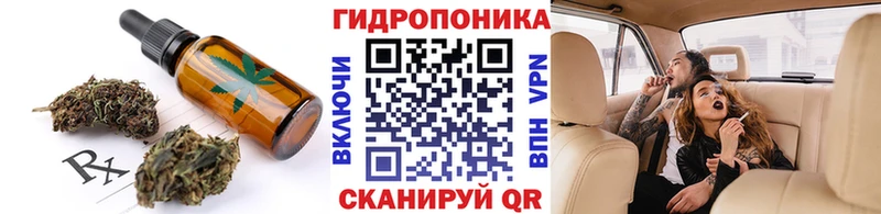 Еда ТГК марихуана  Купить закладки  Елизово 