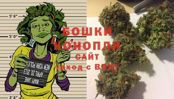 прущие грибы Лабытнанги