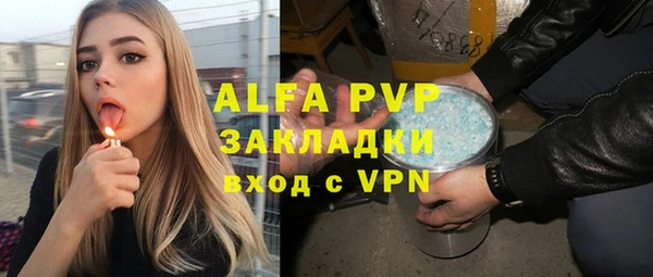 прущие грибы Лабытнанги