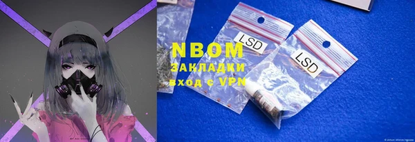 прущие грибы Лабытнанги
