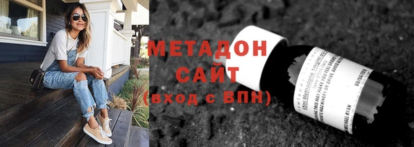 прущие грибы Лабытнанги