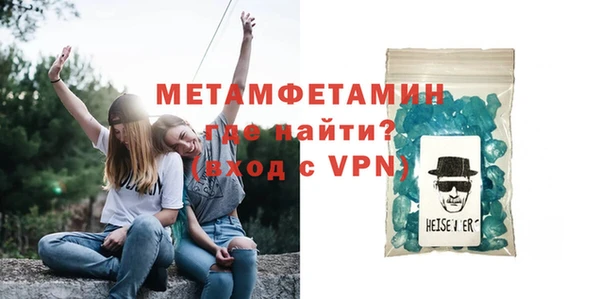 прущие грибы Лабытнанги