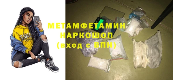 прущие грибы Лабытнанги