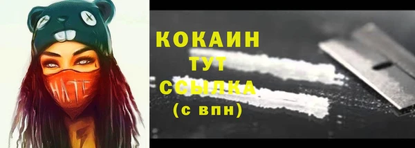 прущие грибы Лабытнанги