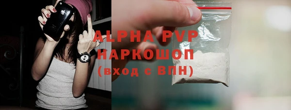 прущие грибы Лабытнанги