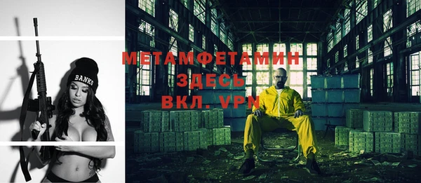 прущие грибы Лабытнанги