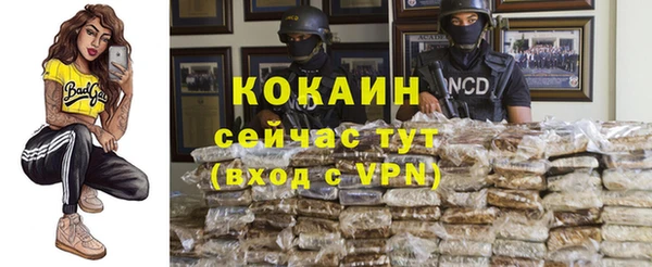 спайс Лагань