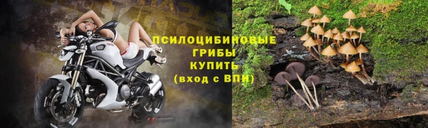 спайс Лагань
