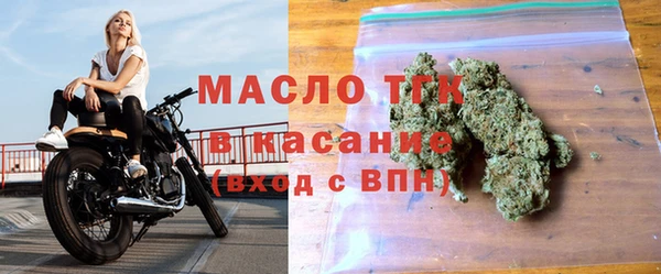 прущие грибы Лабытнанги