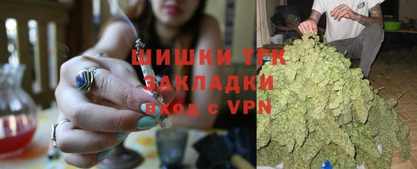 прущие грибы Лабытнанги