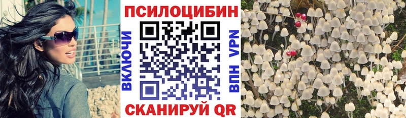 Псилоцибиновые грибы Magic Shrooms  Купить где  Елизово 